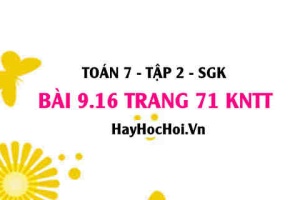 Bài 9.16 trang 71 Toán 7 Tập 2 Kết nối tri thức